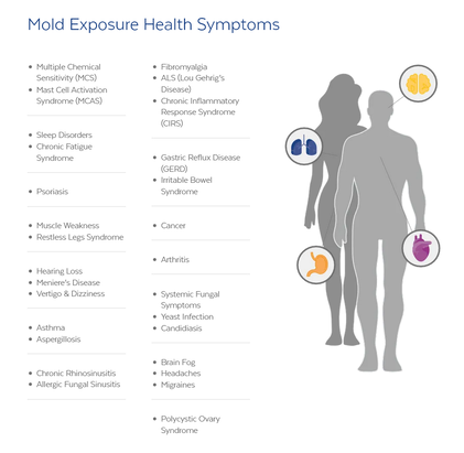 Mold Exposure Health Symptoms